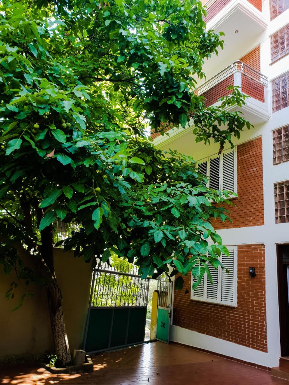 Lux Apartments Vlorë Exteriör bild
